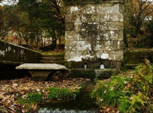Acogedora Minicasa En Entorno Rural A 1200 M De La Catedral Apartamento Santiago de Compostela Exterior foto